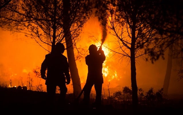 14-year-old charged with starting nearly 20 wildfires in southern France