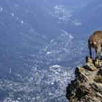 Western Europe’s highest peak Mont Blanc shrinks (again)