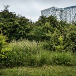 Copenhagen mayor puts on hold plans to develop natural area