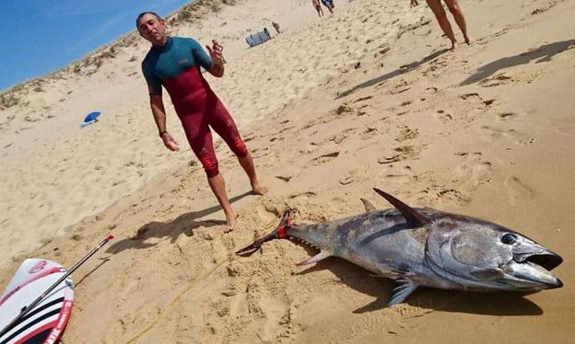 Frenchman lassoes 2-metre tuna, surfs to shore