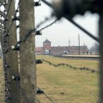 Four in ten German school kids don’t know what Auschwitz was, survey finds