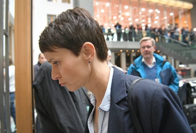 AfD leader Petry causes storm by announcing split from parliamentary party
