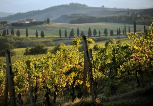 Tuscany's Val D'Orcia region is particularly beautiful in autumn. 