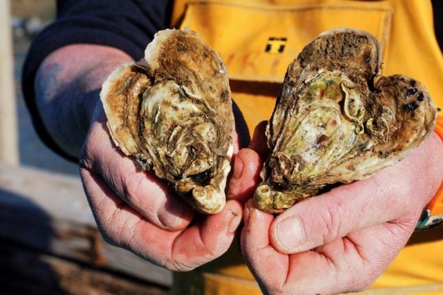 'World's first' flavoured oysters to be launched in France