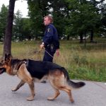 The Swedish army spent more than 12 million kronor on dogs