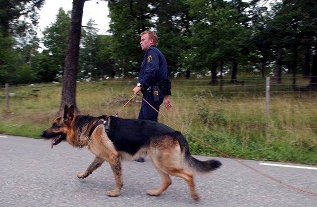 The Swedish army spent more than 12 million kronor on dogs