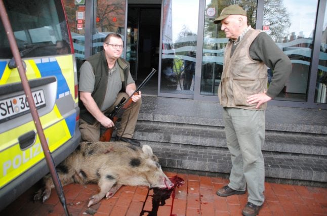 Wild boars go on rampage in north German town, injuring four people