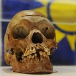 Researchers try to work out origins of 1,000 human skulls from colonial Rwanda