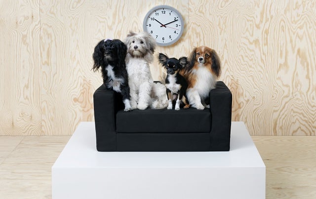 Ikea launches new collection of furniture for pets