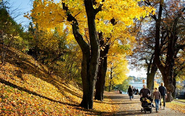Sweden’s Indian summer is coming to an end