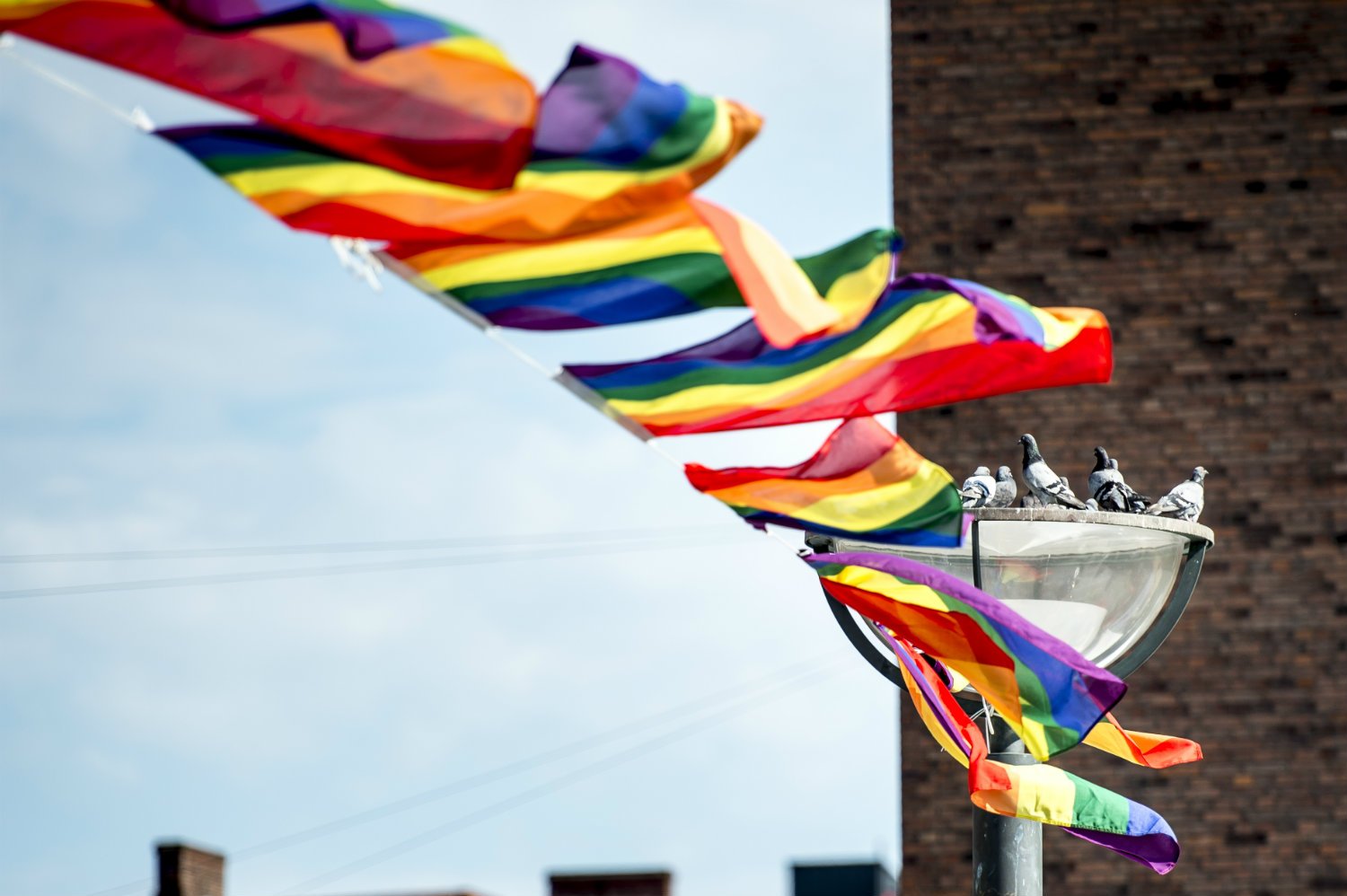Copenhagen awarded WorldPride 2021 event