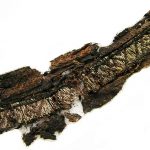 Why these Viking burial clothes had inscriptions to Allah and Ali