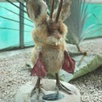 With the body of a rabbit, horns of an incredibly tiny deer, the feet of a pheasant and a second set belonging to a duck, it's hard to imagine this Wolpertinger running through an Alpine forest. It is very cute though.Photo: <a href="https://commons.wikimedia.org/wiki/File:Wolpertinger-praeparat.jpg">Wikimedia Commons</a>