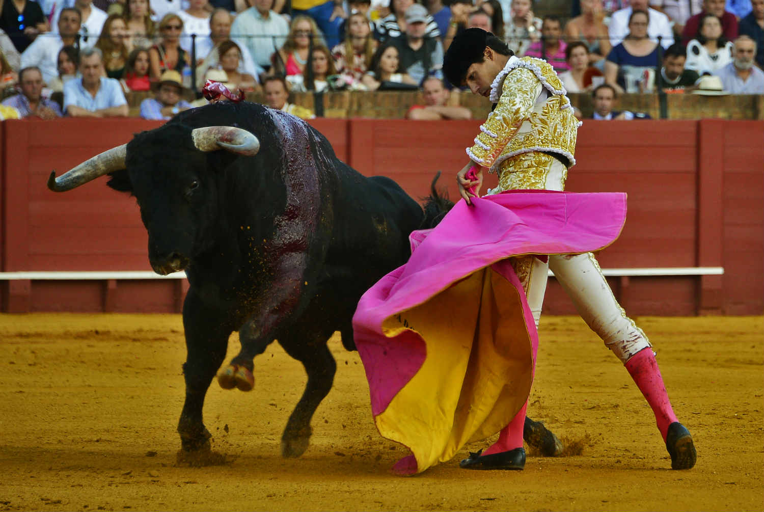 Madrid To Contest Bullfighting Ban On Balearic Islands