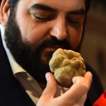 White truffles sell for €75,000 euros at auction in Italy