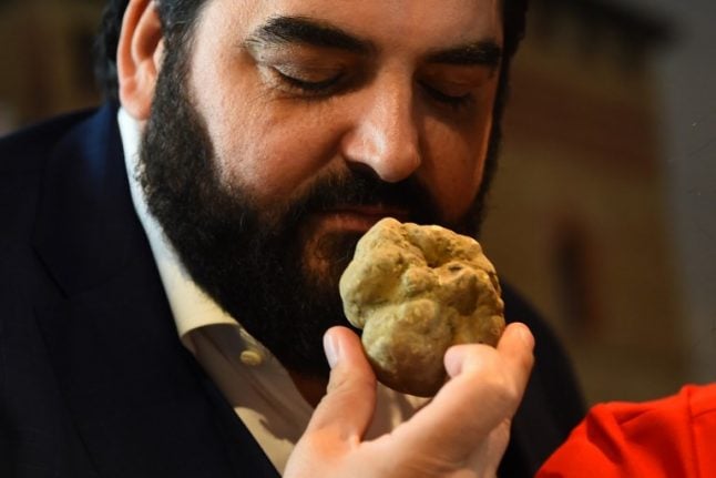 White truffles sell for €75,000 euros at auction in Italy