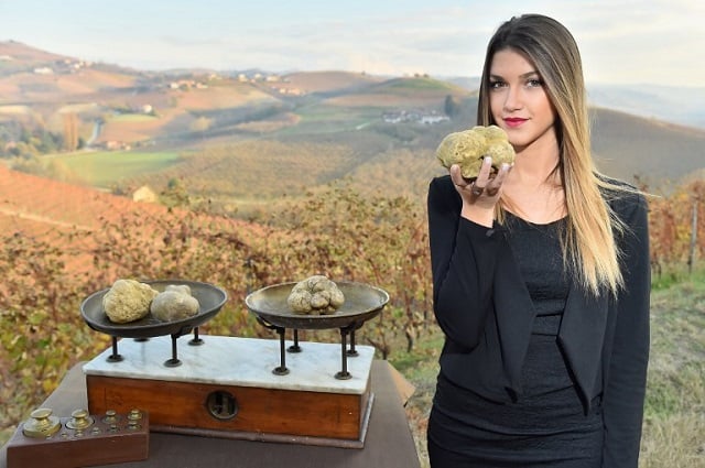 White truffle prices reach an all-time high in Italy