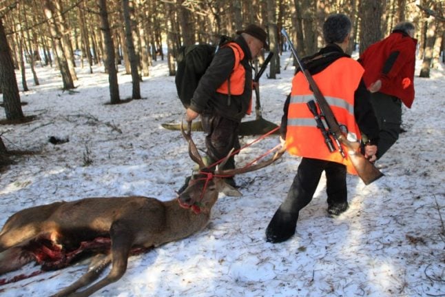 Cornered deer kills French hunter after goring him with its antlers