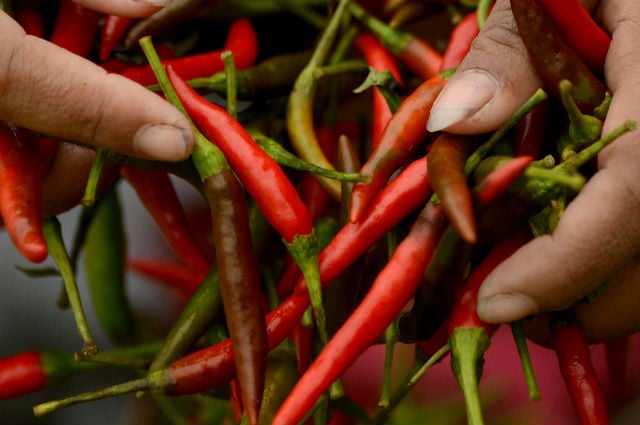 School pupils in France told to stop rubbing chillies in each other's eyes