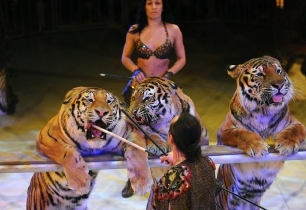 Paris vows to ban use of wild animals in circuses