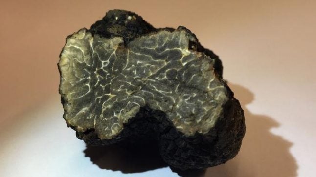 Discovery of wild truffle on Paris rooftop hailed as boon for urban gardeners