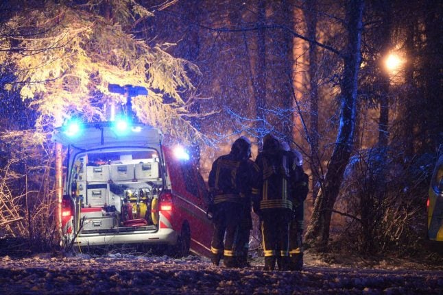 Three die as small plane crashes in bad weather in southern Germany