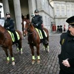 Police horses riding back to Denmark – but not for a while