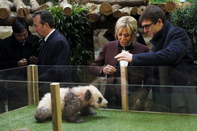 Brigitte Macron baptizes baby panda at French zoo