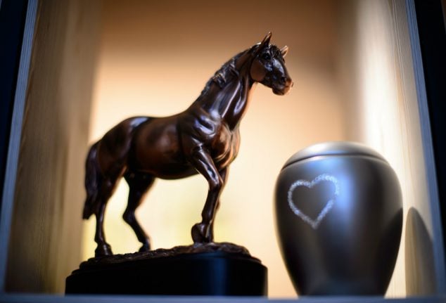 Candles and music: Germany’s first horse crematorium to give equines worthy farewell
