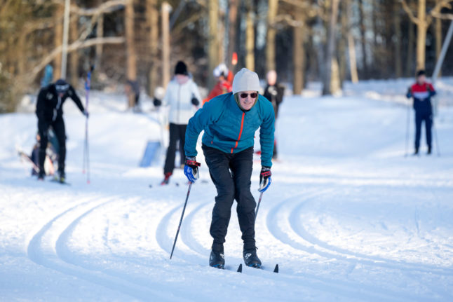 people doing nordic skiing in the snow