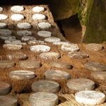 French cheese heist: 700 blocks of Saint-Nectaire pilfered by thieves