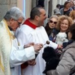 Blessed are the animals: Madrid church welcomes four-legged friends