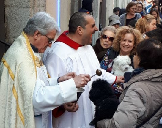 Blessed are the animals: Madrid church welcomes four-legged friends