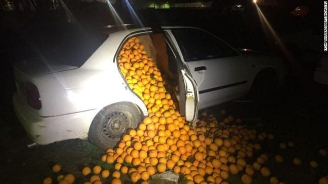 Orange thieves caught red handed with car full of stolen fruit