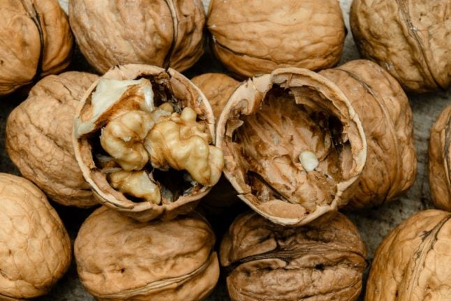 Walnut trees allowed to shed their nuts on cars, Frankfurt court rules