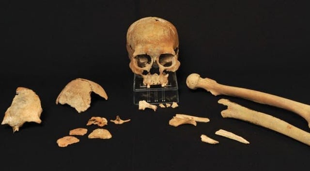 Who were the first Scandinavians? Ancient DNA sheds light on mysterious origins