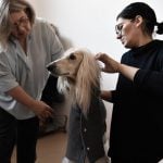 Canine couture: The Milan designer creating tailored outfits for dogs