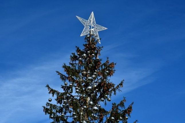 Rome's 'mangy' Christmas tree offered eternal life
