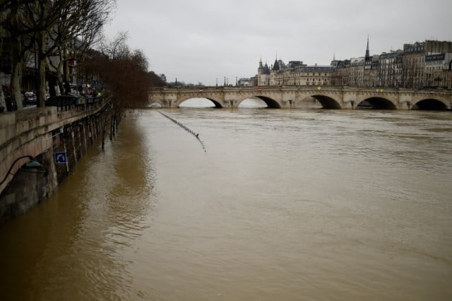 Rising Seine flushes out Paris rats as museums go on flood alert
