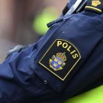 Swedish government orders investigation into rise in reported rapes