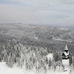 Heavy snow and snapping trees concern Norwegian forest owners