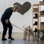 Anna Imstedt and her Wheaton terrier SmillaPhoto:     Thomas Johansson/TT