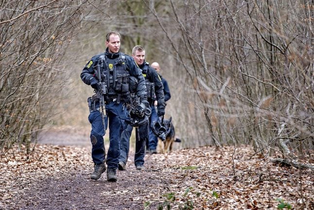 Danish 'axe attacker' remanded in custody