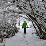 Icy wind from Siberia will bring winter back to Italy