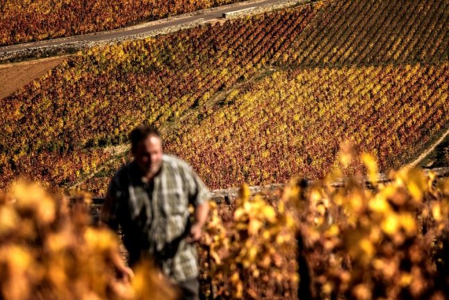 Santé! France enjoys record year for wine and spirits exports