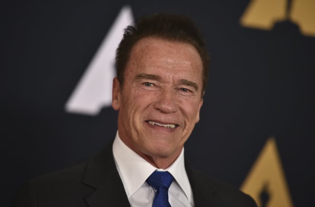 Arnold Schwarzenegger to star in remake of weird Swedish cult movie