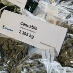 Swedish customs made record drug busts in 2017