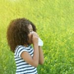 Sweden’s most common seasonal allergies (and how to avoid them)
