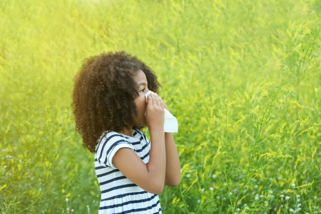 Sweden’s most common seasonal allergies (and how to avoid them)
