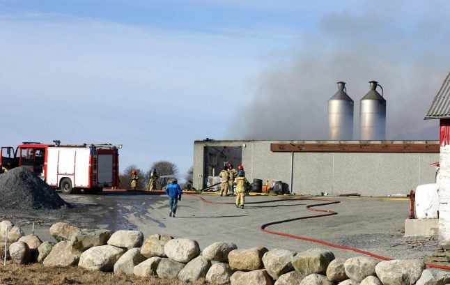 20,000 chickens killed in fire at Norwegian poultry farm